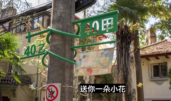 0 (8)_结果.jpg 0 (8)_结果.jpg